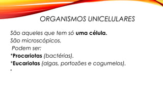 ORGANISMOS UNICELULARES
São aqueles que tem só uma célula.
São microscópicos.
Podem ser:
*Procariotas (bactérias).
*Eucariotas (algas, portozões e cogumelos).
•
 