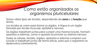 Como estão organizados os
organismos pluricelulares
Temos vários tipos de tecidos, dependendo da zona e a função que
tenha.
Los tecidos se unem para formar os órgãos. A língua é um órgão
formado por tecido muscular, epitelial e nervoso.
Os órgãos trabalham juntos para cumprir uma mesma função. Formam
aparatos e sistemas, como o aparato locomotor ou sistema nervoso.
Todas as células, tecidos, órgãos, aparatos e sistemas cumprem sua
função e trabalham juntos de forma eficaz, para que o organismo se
desenvolva corretamente.
 