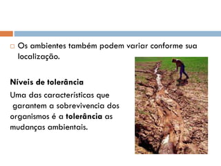 

Os ambientes também podem variar conforme sua
localização.

Níveis de tolerância
Uma das características que
garantem a sobrevivencia dos
organismos é a tolerância as
mudanças ambientais.

 