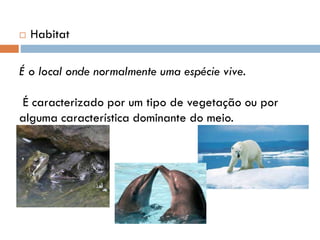 

Habitat

É o local onde normalmente uma espécie vive.
É caracterizado por um tipo de vegetação ou por
alguma característica dominante do meio.

 