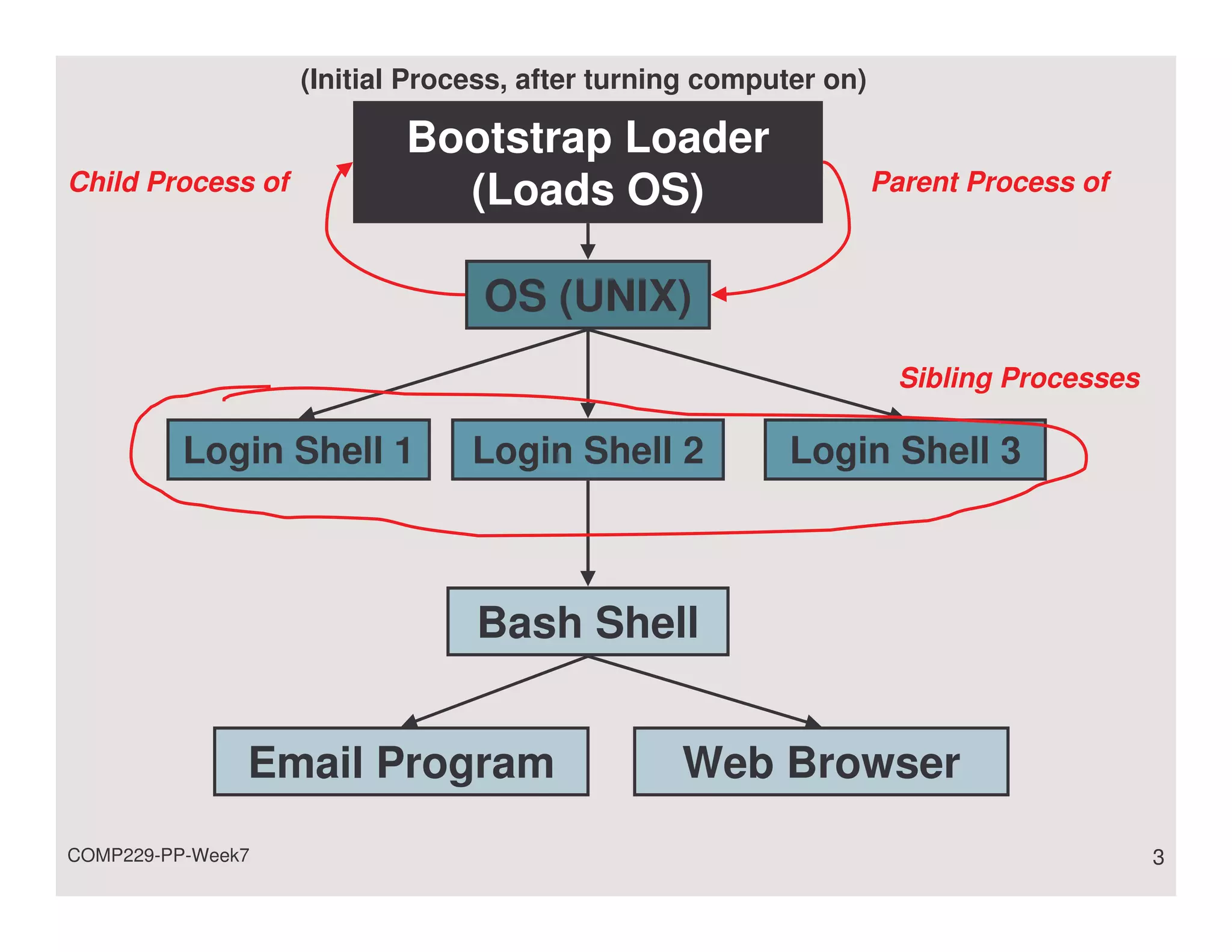 (Initial Process, after turning computer on)

                           Bootstrap Loader
Child Process of             (Loads OS)                           Parent Process of



                                 OS (UNIX)
                                                                   Sibling Processes

          Login Shell 1         Login Shell 2           Login Shell 3



                                Bash Shell


               Email Program                    Web Browser
COMP229-PP-Week7                                                                       3
 