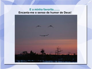 E a minha favorita........
Encanta-me o senso de humor de Deus!
 