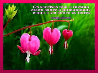 Os sorrisos têm o mesmo efeito sobre a humanidade como o sol sobre as flores. —JOSEPH ADDISON 