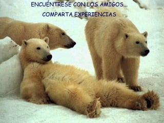 ENCUÉNTRESE CON LOS AMIGOS... COMPARTA EXPERIENCIAS 