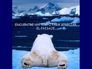 ENCUENTRE UN TEMPO PARA APRECIAR EL PAISAJE 