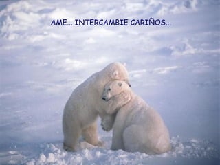 AME... INTERCAMBIE CARIÑOS... 