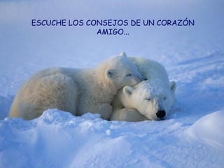 ESCUCHE LOS CONSEJOS DE UN CORAZÓN AMIGO... 