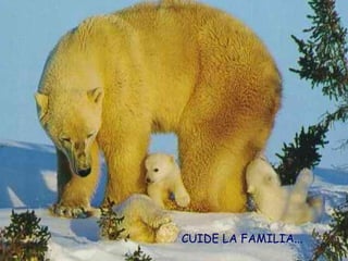 CUIDE LA FAMILIA... 