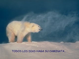 TODOS LOS DIAS HAGA SU CAMINATA...  
