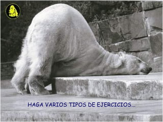 HAGA VARIOS TIPOS DE EJERCICIOS... 