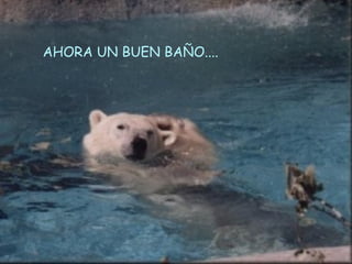 AHORA UN BUEN BAÑO.... 