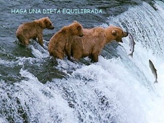 HAGA UNA DIETA EQUILIBRADA... 