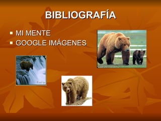 BIBLIOGRAFÍA MI MENTE GOOGLE IMÁGENES
