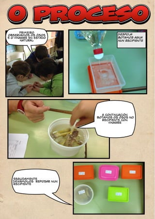 Primeiro 
observamos os ósos 
E o vinagre en estado 
natural 
Seguidamente 
deixámolos reposar nun 
recipiente 
Despoja 
botamos agua 
NUN recipiente 
a continuación 
botamos os ósos no 
recipiente con 
vinagre 
 