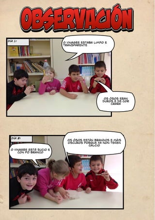 O vinagre estaba limpo e 
transparente 
Día 1: 
Os ósos eran 
duros e de cor 
crara 
Día 8: 
O vinagre estÁ sucio e 
con pó branco 
Os ósos están brandos e máis 
oscuros porque xa non teñen 
calcio 
 