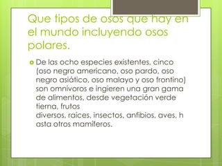 Que tipos de osos que hay en
el mundo incluyendo osos
polares.
 De las ocho especies existentes, cinco
(oso negro americano, oso pardo, oso
negro asiático, oso malayo y oso frontino)
son omnívoros e ingieren una gran gama
de alimentos, desde vegetación verde
tierna, frutos
diversos, raíces, insectos, anfibios, aves, h
asta otros mamíferos.
 