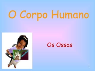 O Corpo Humano Os Ossos 