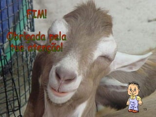 FIM! Obrigada pela tua atenção! 