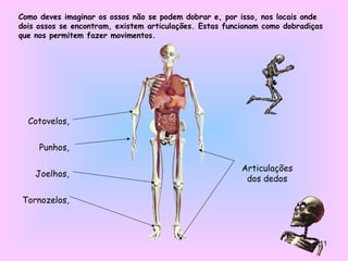 11
Cotovelos,
Punhos,
Joelhos,
Tornozelos,
Como deves imaginar os ossos não se podem dobrar e, por isso, nos locais onde
dois ossos se encontram, existem articulações. Estas funcionam como dobradiças
que nos permitem fazer movimentos.
Articulações
dos dedos
 