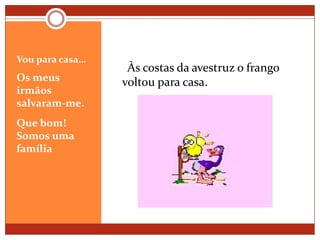 Vou para casa…Os meus irmãos salvaram-me.Que bom! Somos uma família     Às costas da avestruz o frango voltou para casa. 