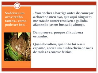 - Vou encher a barriga antes de começar a chocar o meu ovo, que aqui ninguém me traz de comer resolveu a galinha afastando-se em busca do almoço.Demorou-se, porque ali tudo era estranho.Quando voltou, qual não foi o seu espanto, ao ver um ninho cheio de ovos de todas as cores e feitios.Só deixei um ovo e tenho tantos… como pode ser isto.