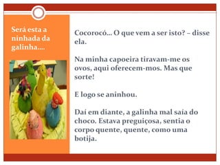 Cocorocó… O que vem a ser isto? – disse ela.Na minha capoeira tiravam-me os ovos, aqui oferecem-mos. Mas que sorte!E logo se aninhou.Daí em diante, a galinha mal saía do choco. Estava preguiçosa, sentia o corpo quente, quente, como uma botija.Será esta a ninhada da galinha….