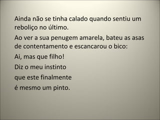 Ainda não se tinha calado quando sentiu um
reboliço no último.
Ao ver a sua penugem amarela, bateu as asas
de contentamento e escancarou o bico:
Ai, mas que filho!
Diz o meu instinto
que este finalmente
é mesmo um pinto.
 