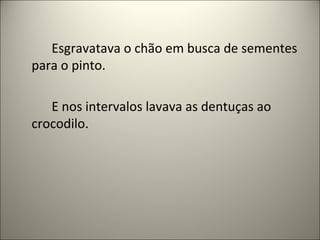 Esgravatava o chão em busca de sementes
para o pinto.
E nos intervalos lavava as dentuças ao
crocodilo.
 