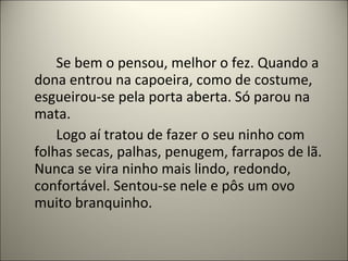 Se bem o pensou, melhor o fez. Quando a
dona entrou na capoeira, como de costume,
esgueirou-se pela porta aberta. Só parou na
mata.
Logo aí tratou de fazer o seu ninho com
folhas secas, palhas, penugem, farrapos de lã.
Nunca se vira ninho mais lindo, redondo,
confortável. Sentou-se nele e pôs um ovo
muito branquinho.
 