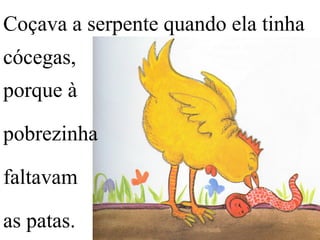 Coçava a serpente quando ela tinha
cócegas,
porque à
pobrezinha
faltavam
as patas.
 