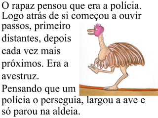 O rapaz pensou que era a polícia.
Logo atrás de si começou a ouvir
passos, primeiro
distantes, depois
cada vez mais
próximos. Era a
avestruz.
Pensando que um
polícia o perseguia, largou a ave e
só parou na aldeia.
 