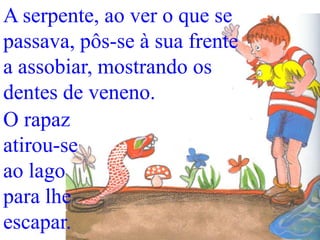 A serpente, ao ver o que se
passava, pôs-se à sua frente
a assobiar, mostrando os
dentes de veneno.
O rapaz
atirou-se
ao lago
para lhe
escapar.

 