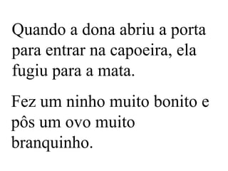 Quando a dona abriu a porta
para entrar na capoeira, ela
fugiu para a mata.

Fez um ninho muito bonito e
pôs um ovo muito
branquinho.

 