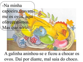 -Na minha
capoeira tiravamme os ovos, aqui
oferecem-mos.
Mas que sorte.

A galinha aninhou-se e ficou a chocar os
ovos. Daí por diante, mal saia do choco.

 