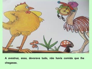 A avestruz, essa, devorava tudo, não havia comida que lhe
chegasse.
 