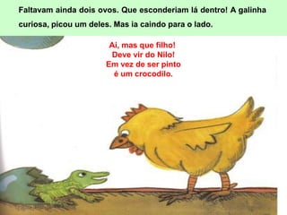 Faltavam ainda dois ovos. Que esconderiam lá dentro! A galinha
curiosa, picou um deles. Mas ia caindo para o lado.

                       Ai, mas que filho!
                       Deve vir do Nilo!
                      Em vez de ser pinto
                        é um crocodilo.
 