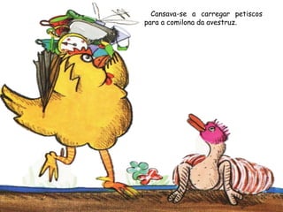Cansava-se a carregar petiscos
para a comilona da avestruz.
 