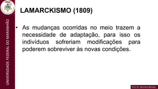 Prof. Dr. Hermínio Benítez
Prof. Dr. Hermínio Benítez
UNIVERSIDADE
FEDERAL
DO
MARANHÃO
LAMARCKISMO (1809)
• As mudanças ocorridas no meio trazem a
necessidade de adaptação, para isso os
indivíduos sofreriam modificações para
poderem sobreviver às novas condições.
 