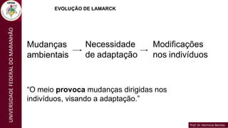 Prof. Dr. Hermínio Benítez
Prof. Dr. Hermínio Benítez
UNIVERSIDADE
FEDERAL
DO
MARANHÃO
Mudanças
ambientais
Necessidade
de adaptação
Modificações
nos indivíduos
EVOLUÇÃO DE LAMARCK
“O meio provoca mudanças dirigidas nos
indivíduos, visando a adaptação.”
 