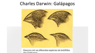 Charles Darwin: Galápagos
 