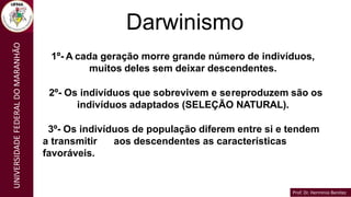 Prof. Dr. Hermínio Benítez
Prof. Dr. Hermínio Benítez
UNIVERSIDADE
FEDERAL
DO
MARANHÃO
Darwinismo
1º- A cada geração morre grande número de indivíduos,
muitos deles sem deixar descendentes.
2º- Os indivíduos que sobrevivem e sereproduzem são os
indivíduos adaptados (SELEÇÃO NATURAL).
3º- Os indivíduos de população diferem entre si e tendem
a transmitir aos descendentes as características
favoráveis.
 