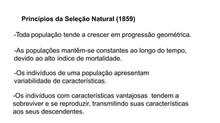 Princípios da Seleção Natural (1859)
-Toda população tende a crescer em progressão geométrica.
-As populações mantêm-se constantes ao longo do tempo,
devido ao alto índice de mortalidade.
-Os indivíduos de uma população apresentam
variabilidade de características.
-Os indivíduos com características vantajosas tendem a
sobreviver e se reproduzir, transmitindo suas características
aos seus descendentes.
 