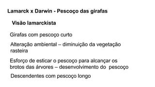 Lamarck x Darwin - Pescoço das girafas
Visão lamarckista
Girafas com pescoço curto
Alteração ambiental – diminuição da vegetação
rasteira
Esforço de esticar o pescoço para alcançar os
brotos das árvores – desenvolvimento do pescoço
Descendentes com pescoço longo
 