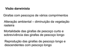 Visão darwinista
Girafas com pescoços de vários comprimentos
Alteração ambiental – diminuição da vegetação
rasteira
Mortalidade das girafas de pescoço curto e
sobrevivência das girafas de pescoço longo
Reprodução das girafas de pescoço longo e
descendentes com pescoço longo
 