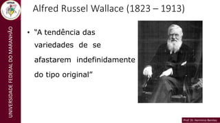 Prof. Dr. Hermínio Benítez
Prof. Dr. Hermínio Benítez
UNIVERSIDADE
FEDERAL
DO
MARANHÃO Alfred Russel Wallace (1823 – 1913)
• “A tendência das
variedades de se
afastarem indefinidamente
do tipo original”
 