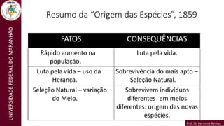 Prof. Dr. Hermínio Benítez
Prof. Dr. Hermínio Benítez
UNIVERSIDADE
FEDERAL
DO
MARANHÃO
Resumo da “Origem das Espécies”, 1859
FATOS CONSEQUÊNCIAS
Rápido aumento na
população.
Luta pela vida.
Luta pela vida – uso da
Herança.
Sobrevivência do mais apto –
Seleção Natural.
Seleção Natural – variação
do Meio.
Sobrevivem indivíduos
diferentes em meios
diferentes: origem das novas
espécies.
 