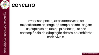 Prof. Dr. Hermínio Benítez
Prof. Dr. Hermínio Benítez
UNIVERSIDADE
FEDERAL
DO
MARANHÃO
CONCEITO
Processo pelo qual os seres vivos se
diversificaram ao longo do tempo dando origem
as espécies atuais ou já extintas, sendo
consequência da adaptação destes ao ambiente
onde vivem.
 