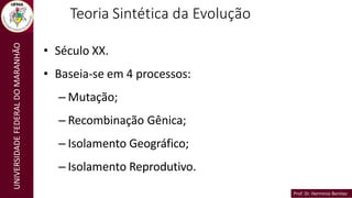 Prof. Dr. Hermínio Benítez
Prof. Dr. Hermínio Benítez
UNIVERSIDADE
FEDERAL
DO
MARANHÃO Teoria Sintética da Evolução
• Século XX.
• Baseia-se em 4 processos:
– Mutação;
– Recombinação Gênica;
– Isolamento Geográfico;
– Isolamento Reprodutivo.
 