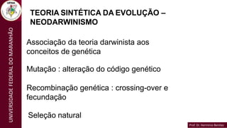 Prof. Dr. Hermínio Benítez
Prof. Dr. Hermínio Benítez
UNIVERSIDADE
FEDERAL
DO
MARANHÃO TEORIA SINTÉTICA DA EVOLUÇÃO –
NEODARWINISMO
Associação da teoria darwinista aos
conceitos de genética
Mutação : alteração do código genético
Recombinação genética : crossing-over e
fecundação
Seleção natural
 