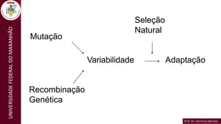 Prof. Dr. Hermínio Benítez
Prof. Dr. Hermínio Benítez
UNIVERSIDADE
FEDERAL
DO
MARANHÃO
Mutação
Variabilidade Adaptação
Seleção
Natural
Recombinação
Genética
 